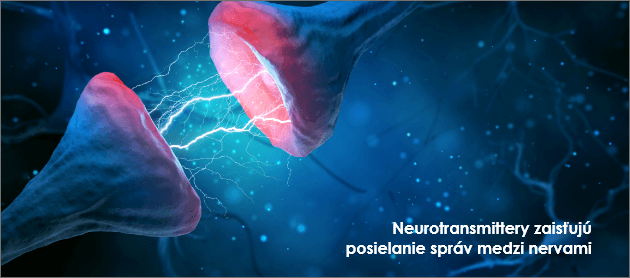 Neurotransmittery zaisťujú posielanie správ medzi nervami