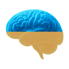 Icon representing 180 days of usage