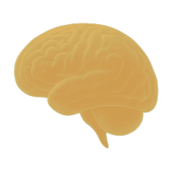 Icon representing 360 days of usage